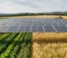 agrivoltaico