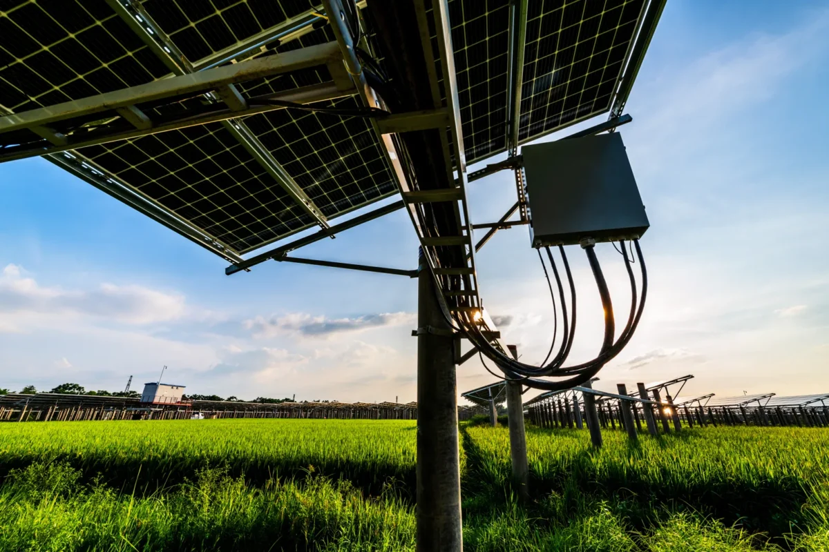 Low-angle shot of ground-mounted solar array with junction box and thick connecting cables in farm field, powering off-grid inverter charger units.